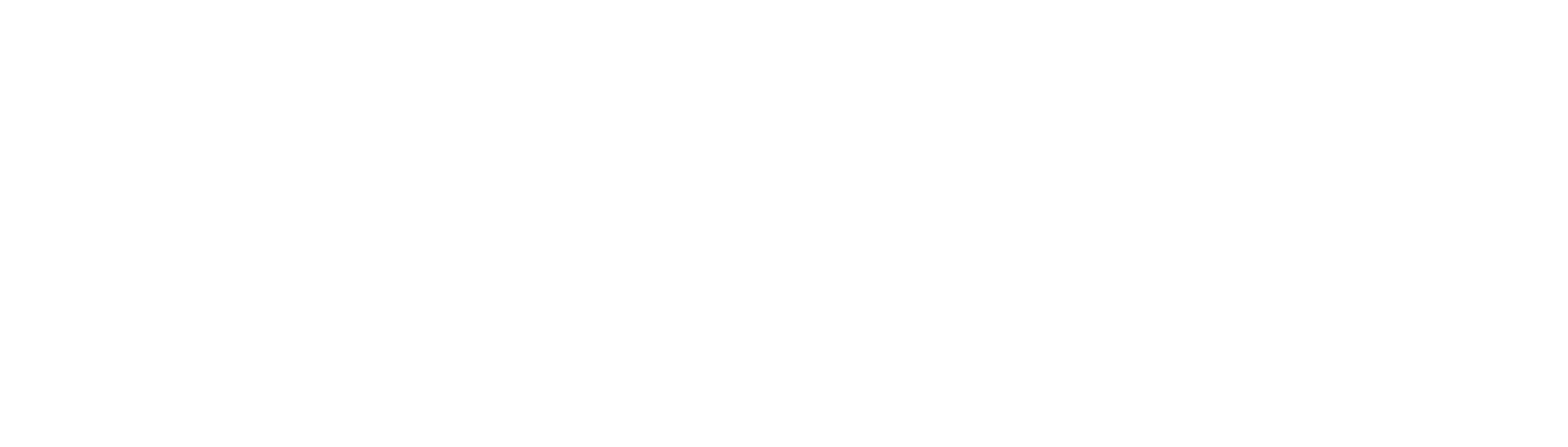 Dataionics Logo